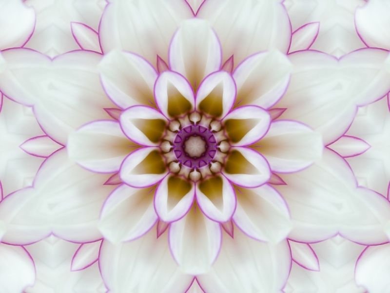 pinturas de mandala