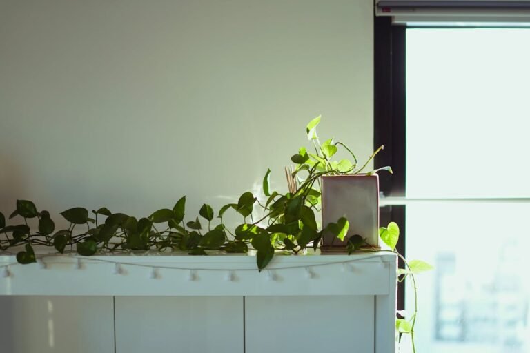 Como Melhorar a Ventilação Natural dos Ambientes